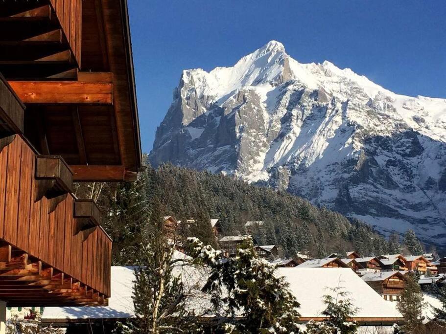 Chalet M Гринделвалд Екстериор снимка